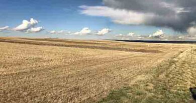 Scientists Evaluate and Refine A Simple Economic Method to Measure Soil Health in Dryland Farming