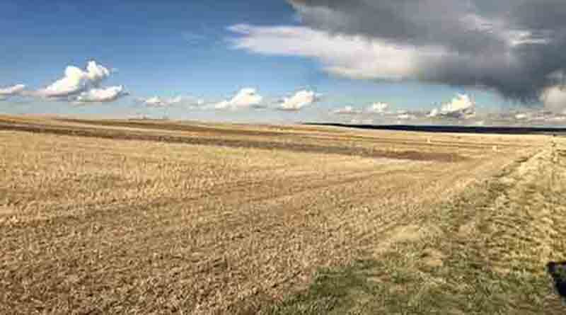 Scientists Evaluate and Refine A Simple Economic Method to Measure Soil Health in Dryland Farming
