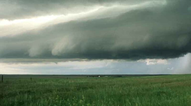Experts Discuss Future Local Action Needed to Combat Climate Change