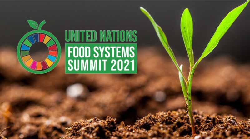 Sustainable Soil Fertility Management And Carbon Sequestration In Cropland