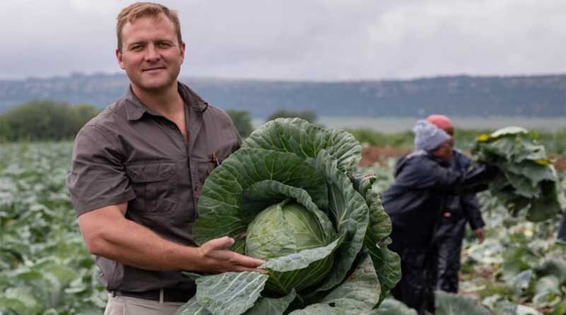 High performance Polysulphate fertilizer in demand in Southern Africa