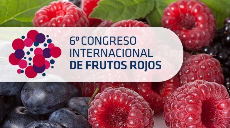https://www.seipasa.com/en/news/seipasa-participates-in-the-berry-fruit-congress-in-huelva/