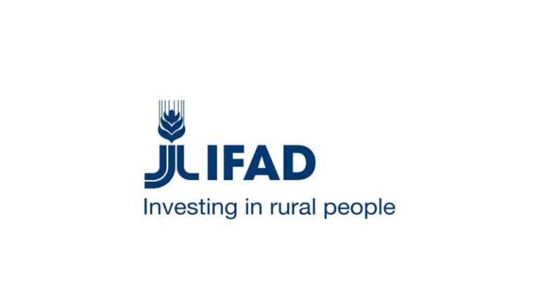 Small-scale farmers need decent wages - IFAD calls on world leaders to commit to action at Food Systems Summit