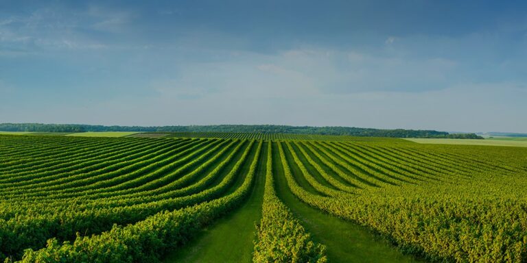 Consensus reached between Haryana government and farmer organizations