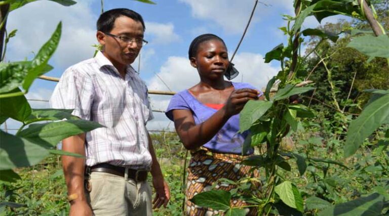 Voices of the Global South for cooperation towards agrifood systems transformation