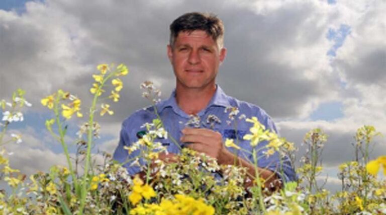 A Grains Research and Development Corporation (GRDC) investment has identified the importance of combining cultural weed management tactics with robust herbicide packages in driving down the weed seedbank.