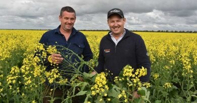 Third-generation Eyre Peninsula farmer reaps TruFlex® canola rewards