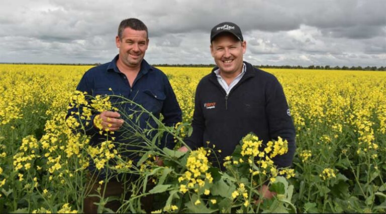 Third-generation Eyre Peninsula farmer reaps TruFlex® canola rewards
