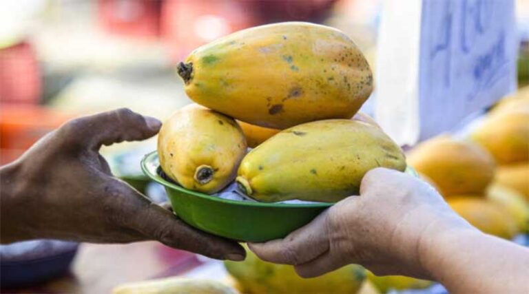 FAO, UNDP and UNEP estimate that 87 percent of growing producer supports are harmful to 2030 agenda