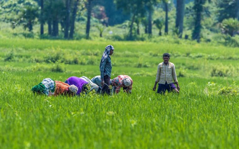 Import of Readymade Pesticides Formulations without registering Technical Grade Products in India is becoming major threat