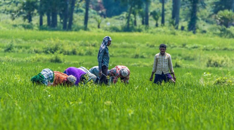 Import of Readymade Pesticides Formulations without registering Technical Grade Products in India is becoming major threat