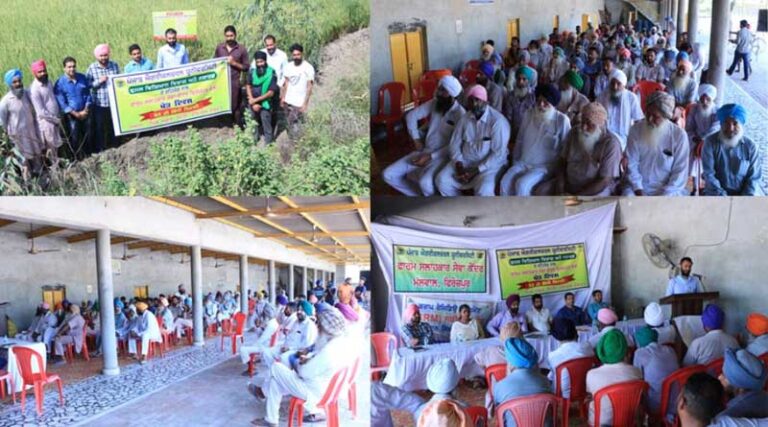 Field day on Tar Watter direct seeded rice in district Ferozepur