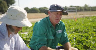 SIVANTO prime is tough on key horticultural pests, with safety for beneficial species