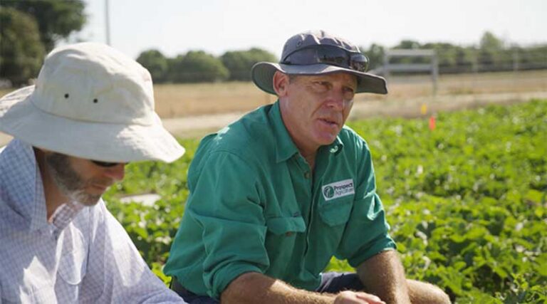 SIVANTO prime is tough on key horticultural pests, with safety for beneficial species