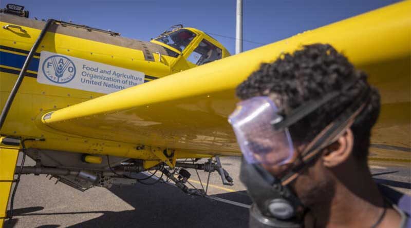 FAO calls for a greater focus on heading off food crises before they strike