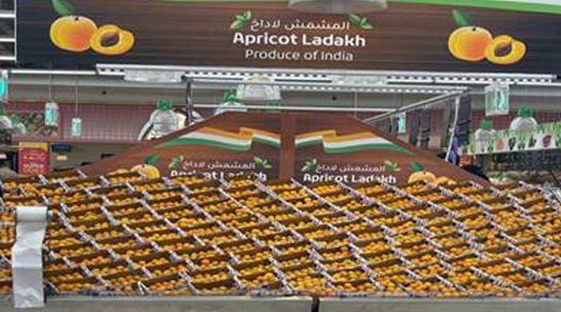 First consignment of Ladakh Apricot exported to Dubai