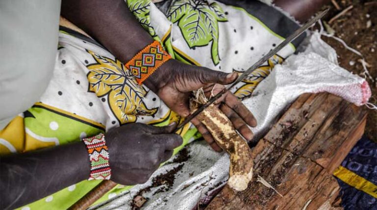 Preserving biodiversity: Effective, lasting solutions based on science and innovation