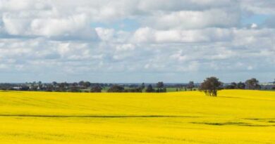 £9 million fund for local authorities to tackle air pollution