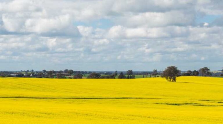 £9 million fund for local authorities to tackle air pollution