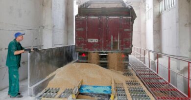FAO Food Price Index rises further in September