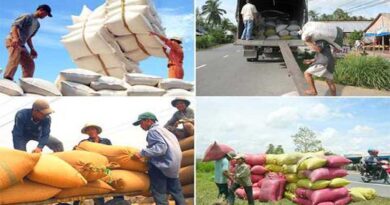 Agriculture sector ready to resume production