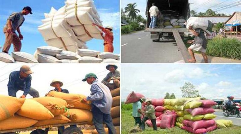 Agriculture sector ready to resume production