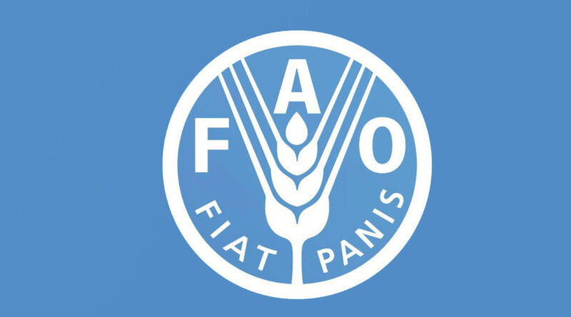 Starvation and hunger-related deaths a reality amid worsening food crises, says FAO