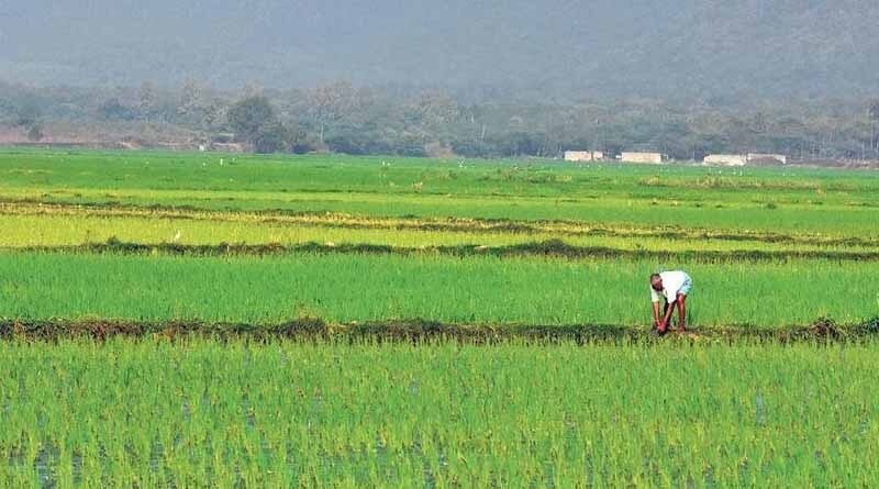 Are our farmers aware of the magnitude of climate change?