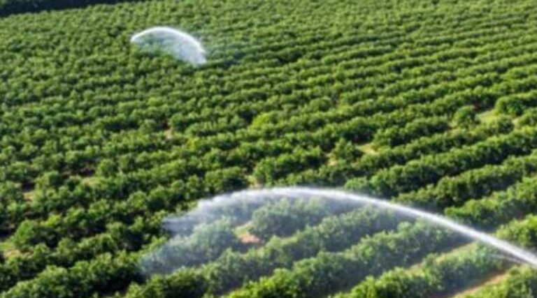 Nutrient Based Subsidy (NBS) rates announced for Phosphatic & Potassic (P&K) Fertilisers 2021-22