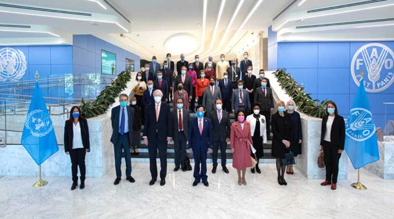 World Food Day 2021: FAO hails new momentum and energy on agri-food systems despite unprecedented crises