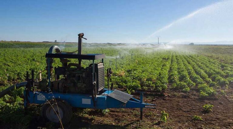 Electric or Diesel irrigation pumps – what should I choose?