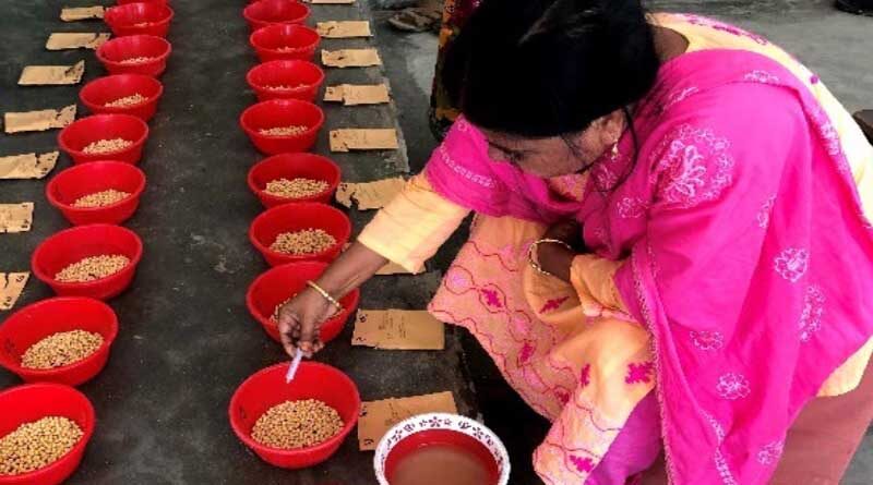 Soybean Innovation Lab's Pan-African Trials