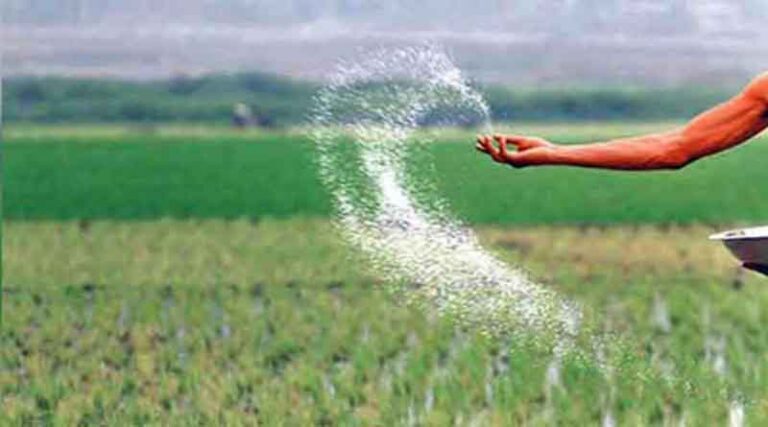 Indian Government increases subsidy for DAP by Rs. 438 per bag to offset rise in international prices