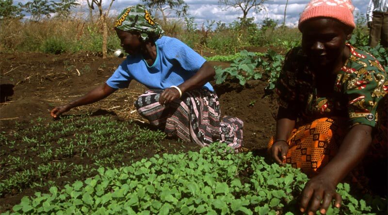 Committee on World Food Security (CFS) kicks off with a call for agri-food systems transformation