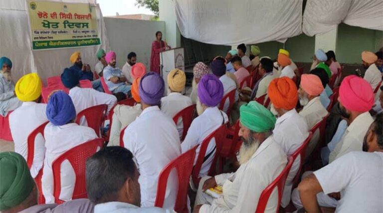 Field day on TAR WATTAR direct seeded rice organised at Faridkot