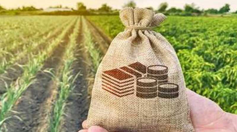 Samunnati launches new scheme to crowdsource funds to cover small farmers’ risks