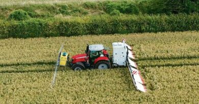 A shocking way to terminate plants