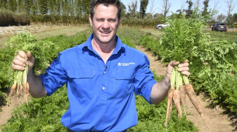 Significant advantages for Australian growers from new nematicide
