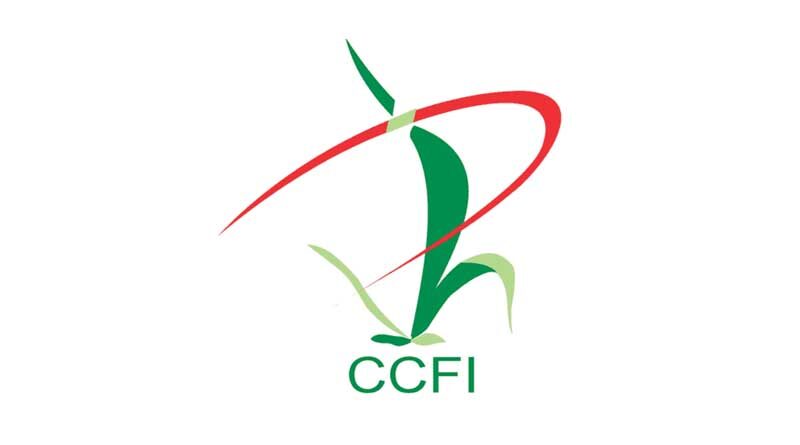 CCFI submits pre-budget representation to the government over surging agrochemical imports