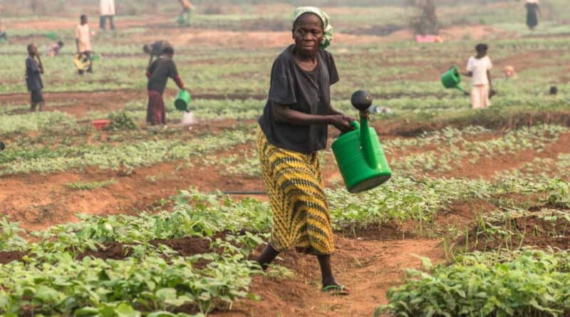 Food security crisis in the Democratic Republic of the Congo could worsen in the coming months