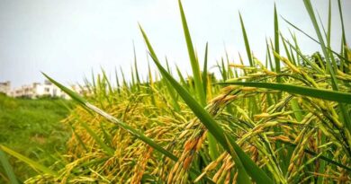 Livestock and plant resources survey on track
