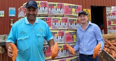 Bundaberg grower first in world to use new nematicide