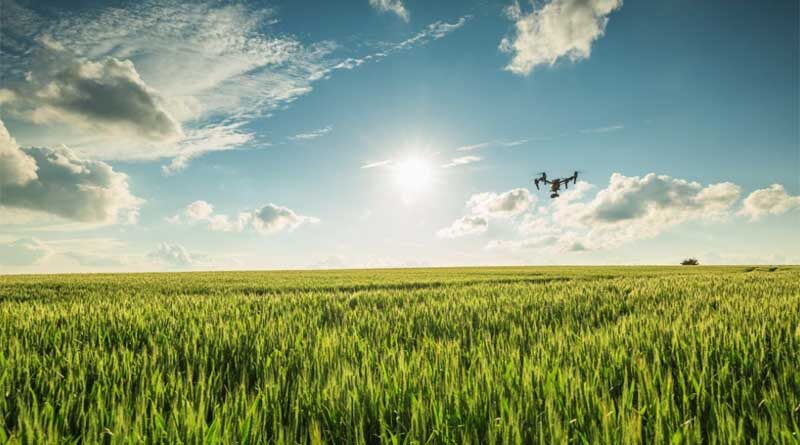 Australia: Aeration cooling can help save moist grain