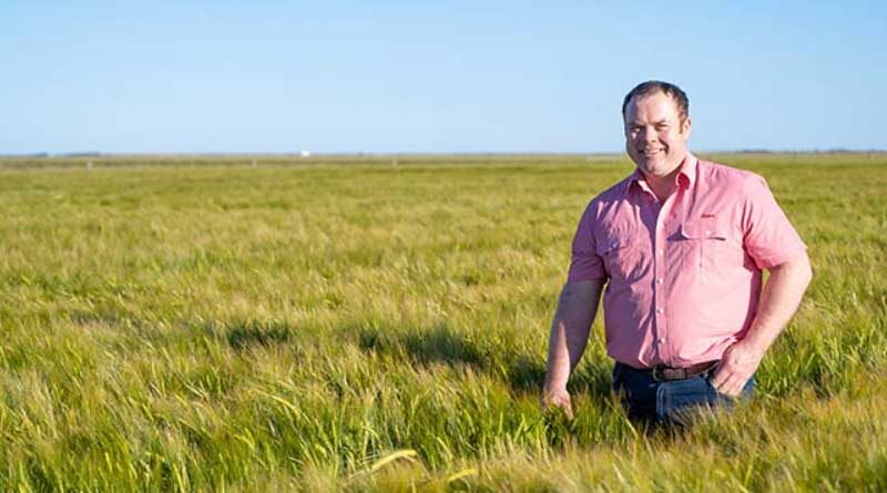 Australia: Elders invests in growing seed genetics division
