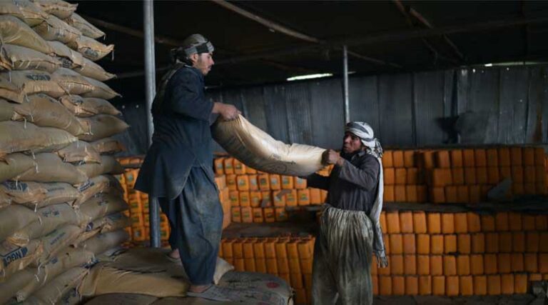 We risk a catastrophe if agriculture collapses in Afghanistan