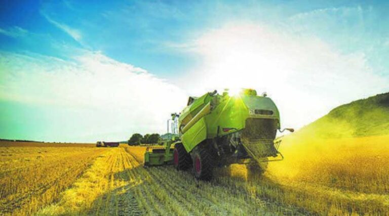 Australia: Fungicide resistance awareness in the spotlight