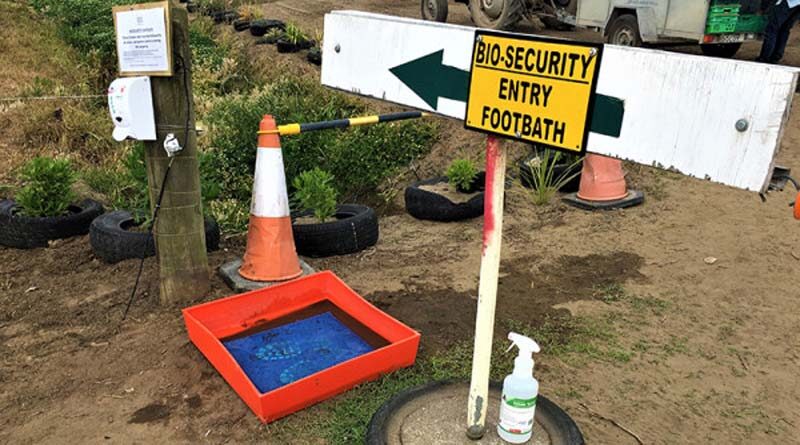On-farm biosecurity series: People
