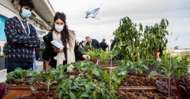 New “rooftop farm” at FAO highlights how innovative technology can help safeguard agro-biodiversity
