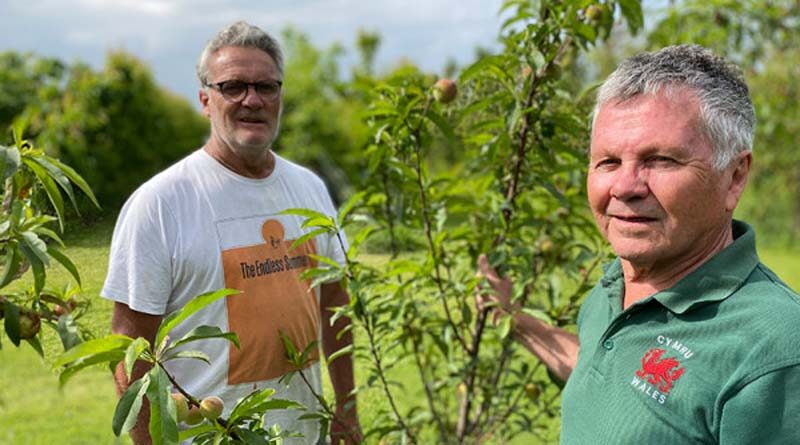 Family traditions continue at historic Gisborne orchard