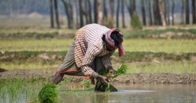 With an Outlay of Rs. 93,068 crore, PM Krishi Sinchayee Yojana approved; benefit to 22 lakh farmers